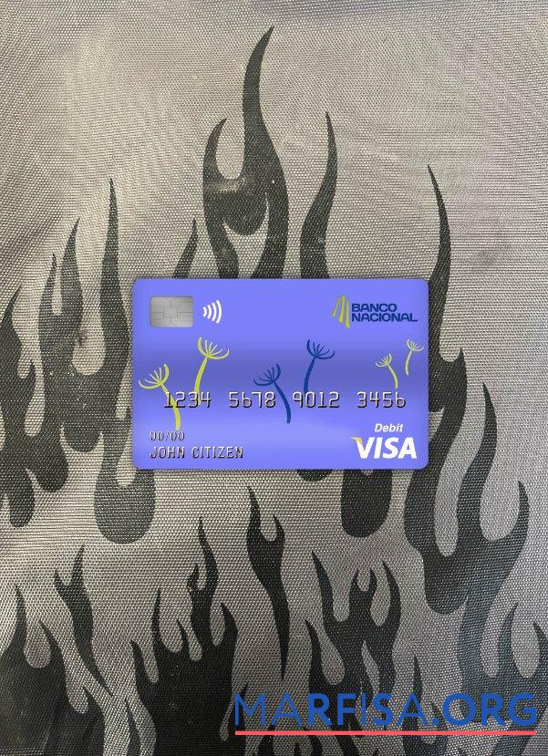 Printable Costa Rica banco nacional bank visa card photolook front example
